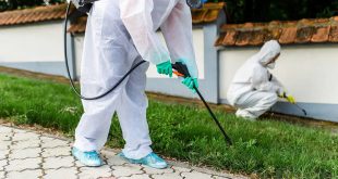 شركة مكافحة حشرات بمحايل