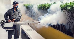 مكافحة الحشرات مع شركة الماس