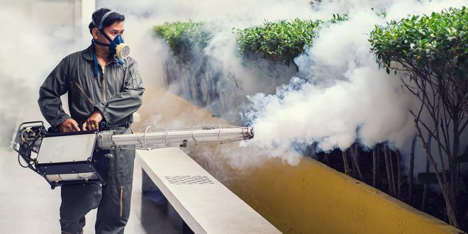 مكافحة الحشرات مع شركة الماس